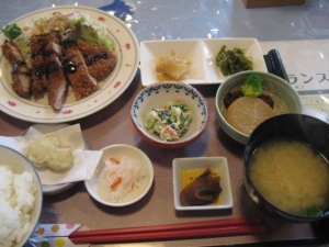 山江村特産の「ほたる米」や地元産野菜などをふんだんに使った昼食を頂きました
