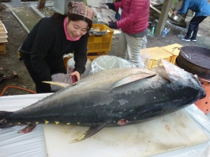 巨大マグロ登場！